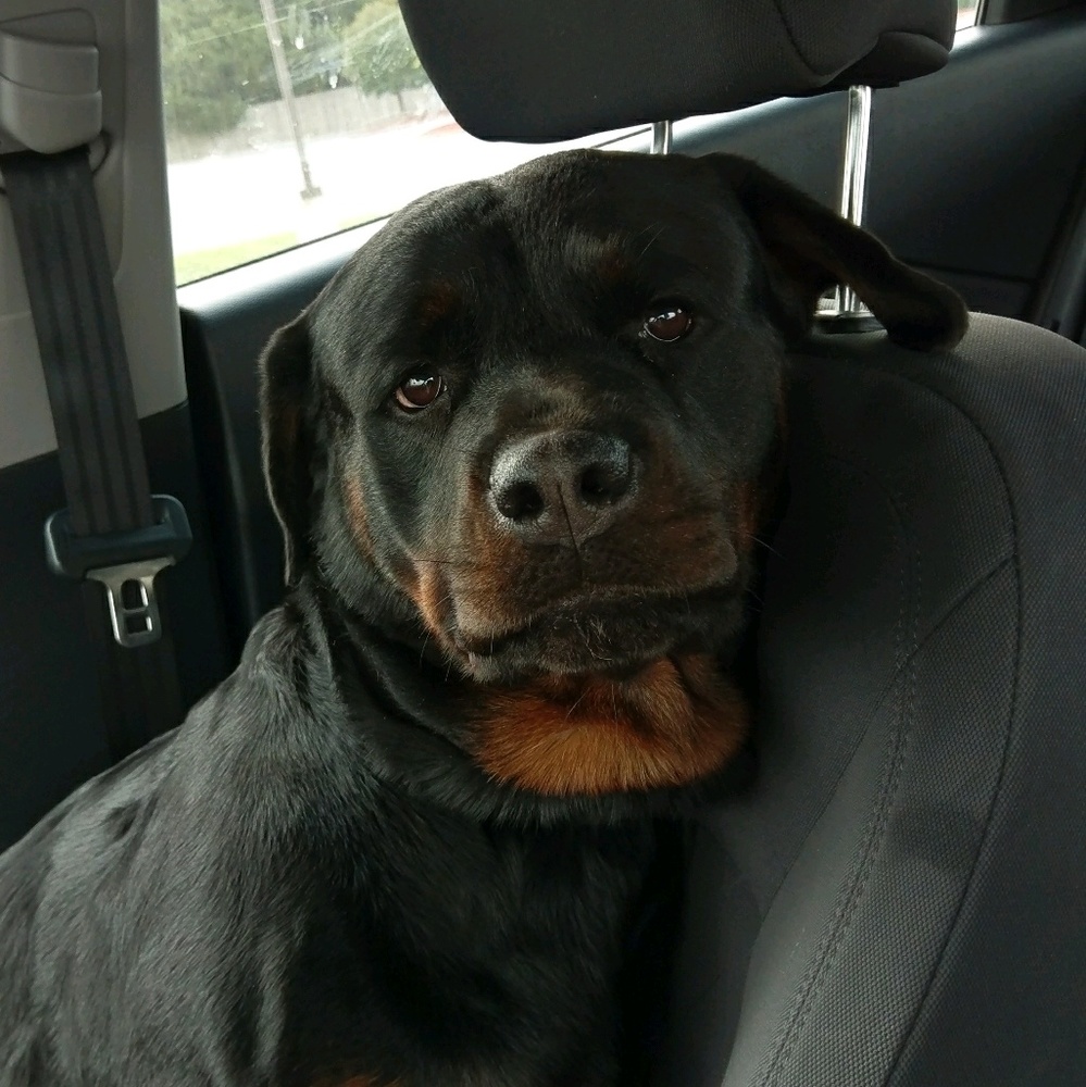 Meet your Posher, Megan